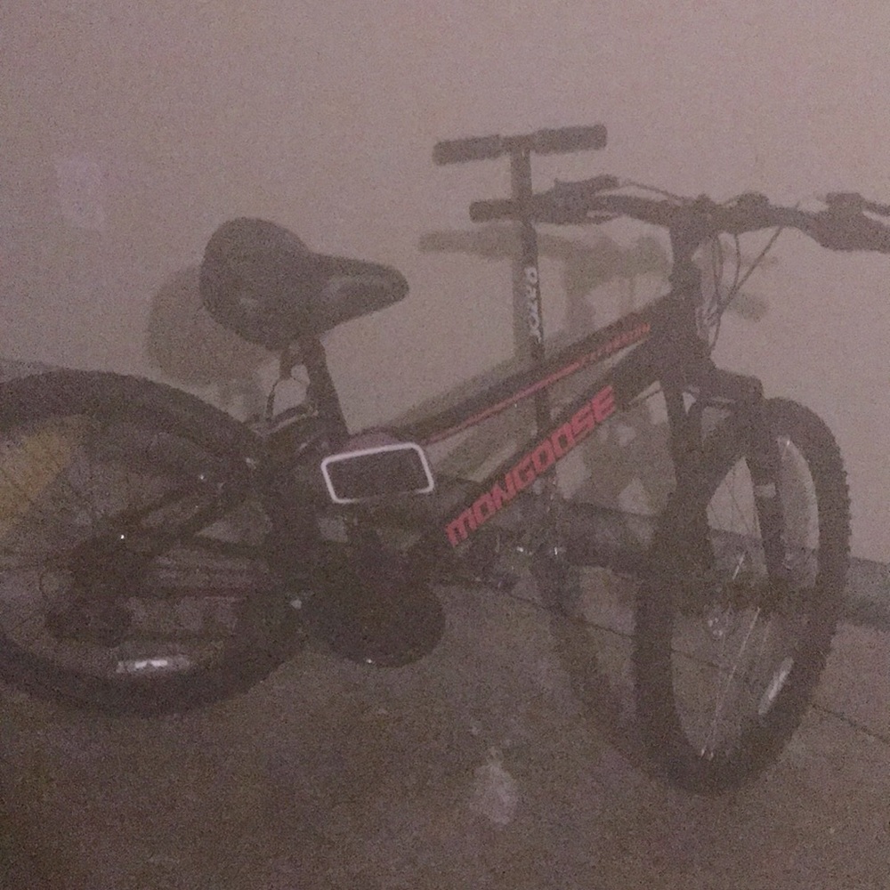 Mountain bike